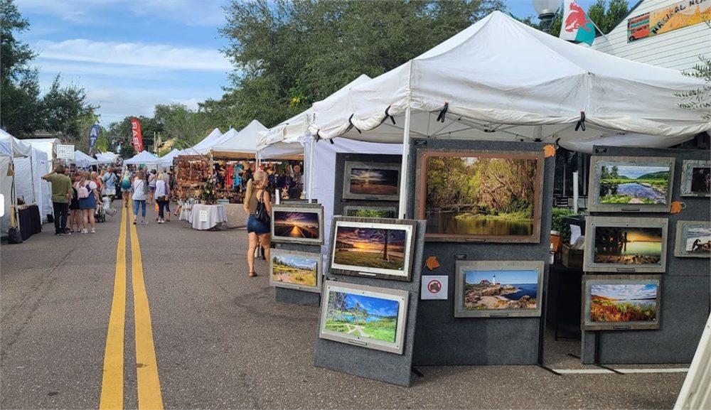 Mount Dora Art Festival Palm Harbor Club