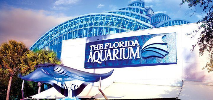 Florida Aquarium Trip